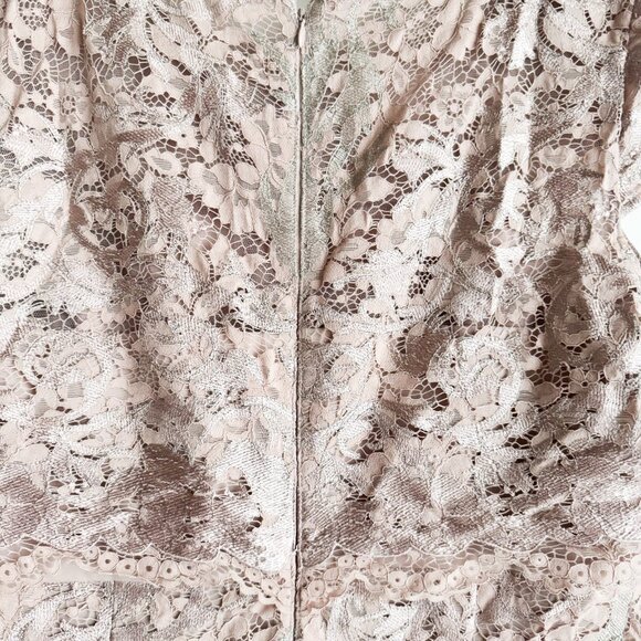 adrianna papell Nude Beige Pink Lace Overlay Bodycon Dress 16 - Picture 5 of 5